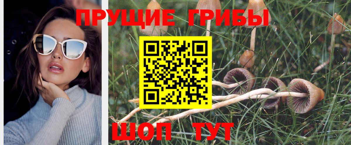 Псилоцибиновые грибы GOLDEN TEACHER  Вход с VPN  Новоалександровск 