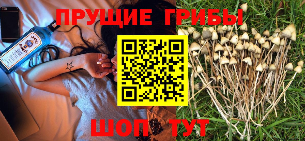 Галлюциногенные грибы GOLDEN TEACHER Новоалександровск